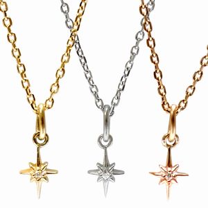 Cubic Zirconia - ネックレス ステンレス キュービックジルコニア 1粒 K14 ペンダント シルバー イエローゴールド ピンクゴールド ペア アクセサリー レディース メンズ ギフト プレゼント