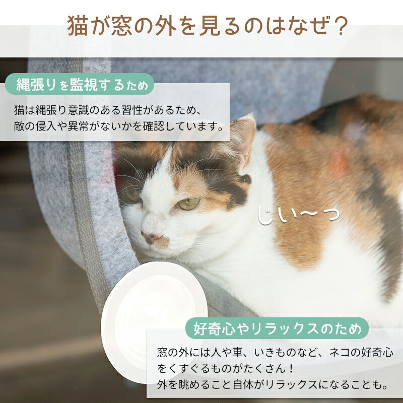 猫窓用ベッドひなたニャンコ猫用ウィンドウベッド