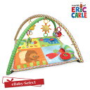 EricCarle(エリックカール) はらぺこあおむし アクティビティプレイジム グッズ 出産祝い  ...