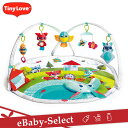 TinyLove(タイニーラブ)Meadow Days ダイナミックジミニー プレイジム