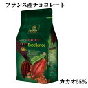 カカオバリー クーベルピストールエクセランス（55%） 1kg ＜フランス産 チョコレート カカオ バリー バレンタイン 手作り チョコ chocolate valentine 大容量＞