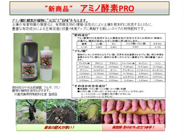 アミノ酵素PRO 1000