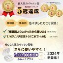 【限定10%オフ！先着10名！5/10 24時間のみ！母の日にはコレ！】【MIMIKKOプラス 24年新型集音器】 集音器 みみっこ 生活防水 ハウリング軽減 しゅうおんき ワイヤレス イヤホン型 ギフト プレゼント テレビ 高齢者 充電式 補聴器ではありません 【ギフト梱包無料】 2