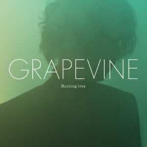 GRAPEVINE／Burning　tree（初回限定盤）（DVD付）
