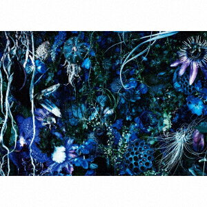 SUGIZO／ONENESS　M（初回限定盤）[SHM-CD]