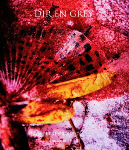 DIR　EN　GREY／FROM　DEPRESSION　TO　　　　　　　　　　［mode　of　16−17］（Blu−ray　Disc）