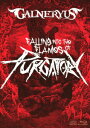 GALNERYUS／FALLING　INTO　THE　FLAMES　OF　PURGATORY（通常版）（BD＋2CD）