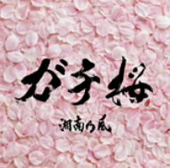 湘南乃風／ガチ桜