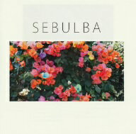 踊ってばかりの国／SEBULBA