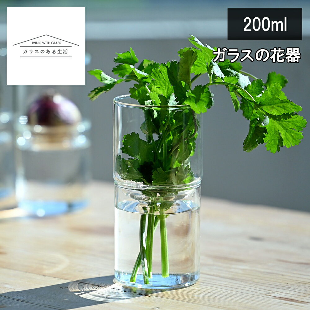 Rakuten - 【レビューで特典別送】花器 花瓶 HARIO「ガラスのある生活」 GK-200-TB ガラスの花器 クリアブラック クリア 透明 耐熱ガラス 水耕栽培 おしゃれ ハリオ フラワーベース 上下のパーツに分かれているのでお手入れ簡単