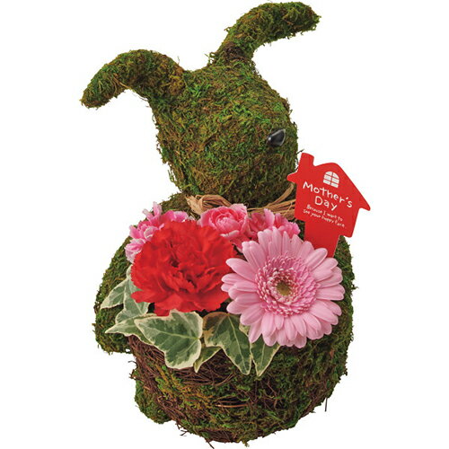 Rose - その他 【母の日専用】モスラビット・アレンジ