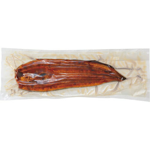 其它 - その他 【母の日専用】大森淡水　特大国産うなぎ蒲焼（長焼）300g（1尾入）