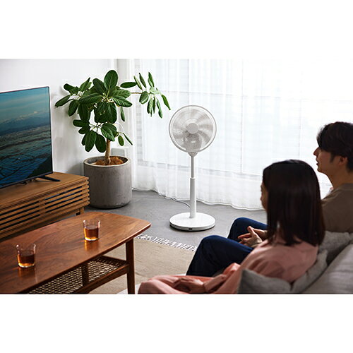 【長期保証付】ツインバード TWINBIRD EF-J951W ホワイト サーキュレーション扇風機3D