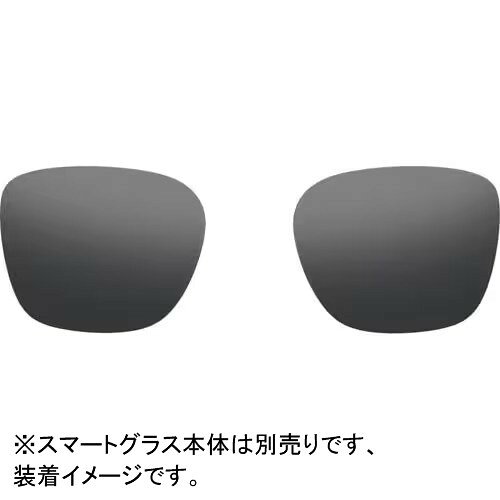 Rokid(ロキッド) Rokid Ai Glasses Style用 調光レンズ ブラック RAIL01-BK