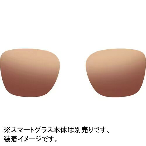 Rokid(ロキッド) Rokid Ai Glasses Style用 調光レンズ ブラウン RAIL01-BN
