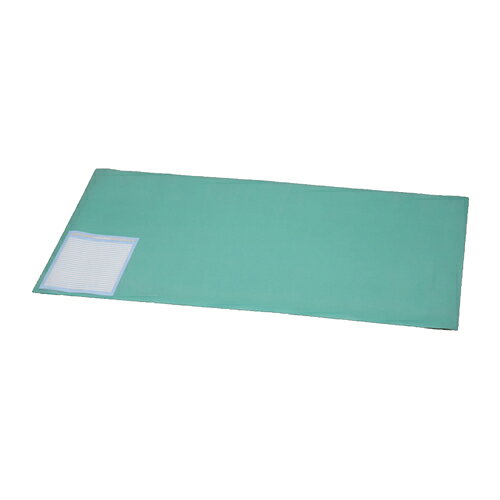 樂天商城 - アイリスオーヤマ(Iris Ohyama) DMT-1369PZ ナチュラル/緑 デスクマット 139×69cm