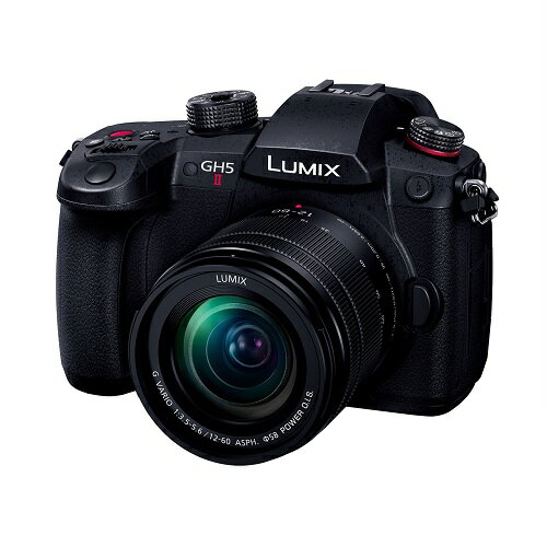 【長期5年保証付】【楽天1位受賞!!】パナソニック Panasonic LUMIX DC-GH5M2M 標準ズームレンズキット DCGH5M2M 1