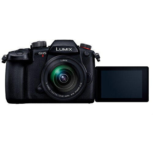 【長期5年保証付】【楽天1位受賞!!】パナソニック Panasonic LUMIX DC-GH5M2M 標準ズームレンズキット DCGH5M2M 3