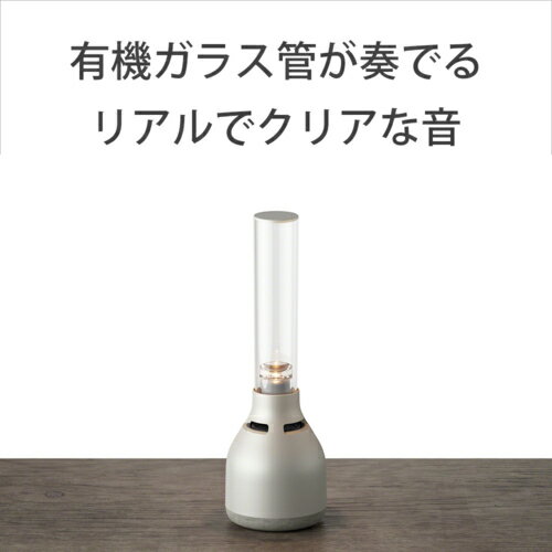 ���ˡ� SONY LSPX-S3 ���饹������ɥ��ԡ����� LSPXS3
