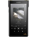 ソニー SONY NW-WM1AM2 ウォークマンWM1シリーズ 128GB NWWM1AM2