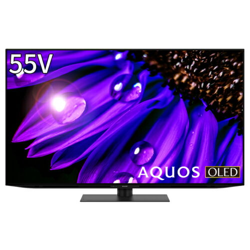 【設置＋リサイクル＋長期保証】シャープ(SHARP) 4T-C55EQ1 AQUOS 4K有機ELテレビ 55V型