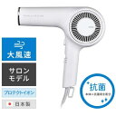 テスコム テスコム TESCOM NIB300AW(ホワイトアッシュ) プロフェッショナル プロテクトイオン ヘアードライヤー NIB300AW