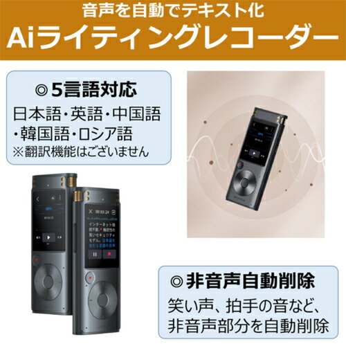 ��Ĺ��5ǯ�ݾ��ա�iFLYTEK �����ե饤�ƥå� SR302PRO VOITER AI�饤�ƥ��󥰥쥳������ SR302PRO