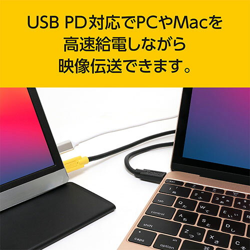 ミヨシ USB-CCD12-BK Type-C...の紹介画像3