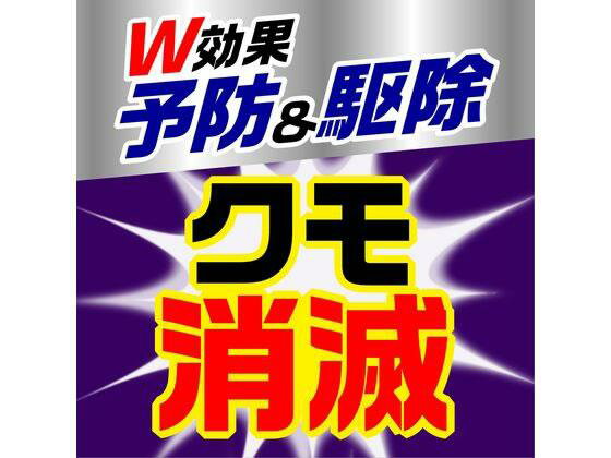 アース製薬 クモの巣消滅ジェット 450mL 2本パック[代引不可] 2