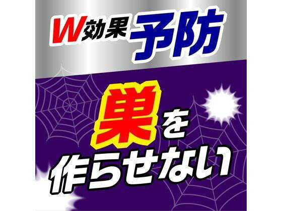 アース製薬 クモの巣消滅ジェット 450mL 2本パック[代引不可] 3