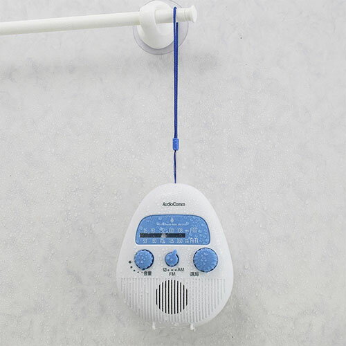 オーム電機 OHM RAD-S798Z Aud...の紹介画像2