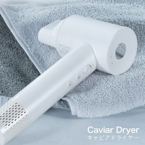 enas イーネーズ Caviar Dryer キャビアドライヤー 大風量 速乾 冷温循環 マイナス...
