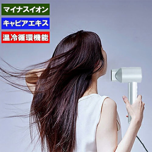 enas イーネーズ Caviar Dryer キャビアドライヤー 大風量 速乾 冷温循環 マイナス...
