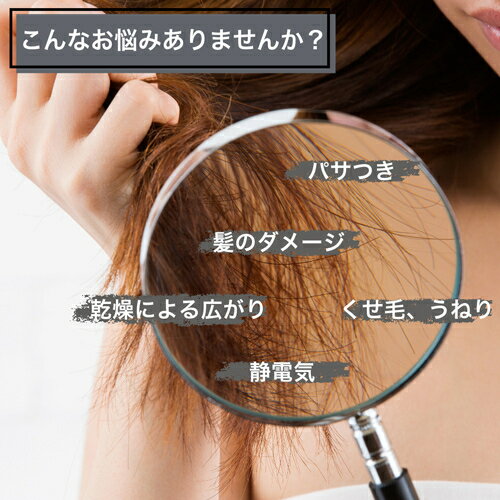 enas イーネーズ Caviar Dryer キャビアドライヤー 大風量 速乾 冷温循環 マイナス...