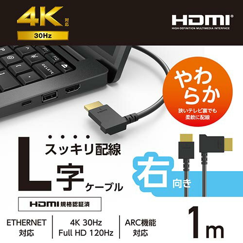 エレコム(ELECOM) CAC-HD14EYR10-BK ブラック HDMI ケーブル HIGH SPEED with Ethe...