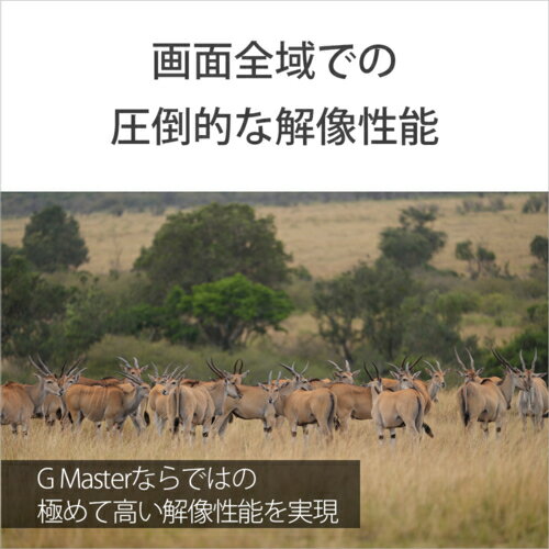 ��Ĺ���ݾ��աۥ��ˡ� SONY FE 300mm F2.8 GM OSS SEL300F28GM E�ޥ������ �ե륵���� ˾��ñ������� SEL300F28GM