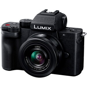 ѥʥ˥å Panasonic LUMIX DC-G100DK 󥺥å ޥե ߥ顼쥹㥫 DCG100DK