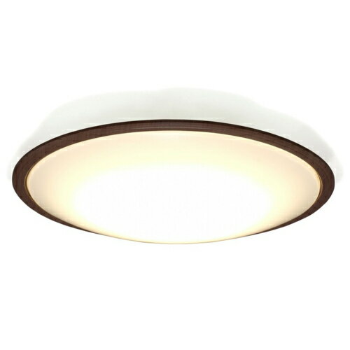 �����ꥹ������� Iris Ohyama CEA12DL-5.0QWFM LED������󥰥饤�� 12��Ĵ�� ���åɥե졼�� CEA12DL50QWFM