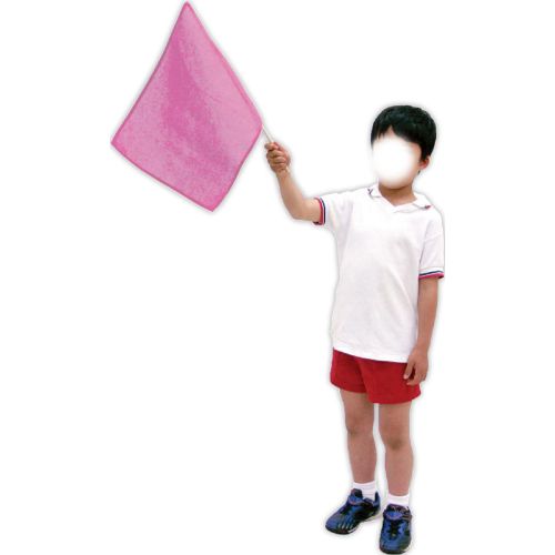 アーテック 小旗 桃 10本組 18186 運動会 発表会 イベント 体育祭 学芸会 チームカラー 応援 旗 フラッグ