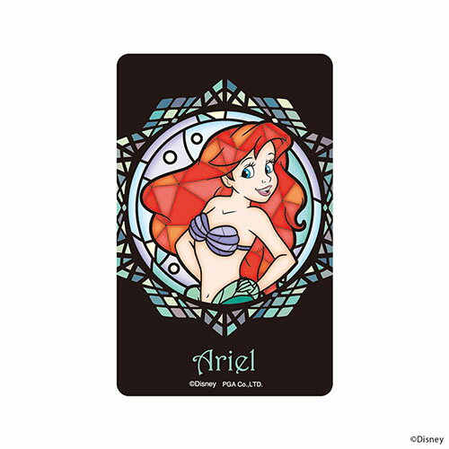 PGA PG-DSTK35ARL(ꥨ) ƥɥ饹Ĵ ƥå(ICб)