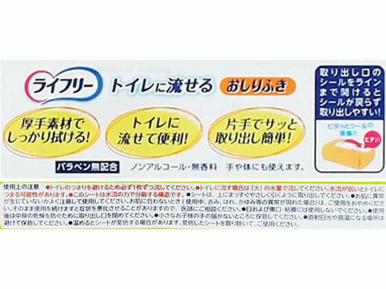 ��ˡ����㡼�� �饤�ե꡼������դ��ȥ����ή���� 72���12�ѥå�[����Բ�]