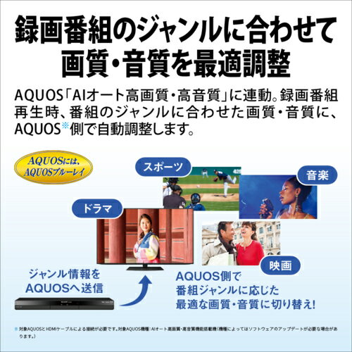 【長期保証付】シャープ SHARP 2B-C10GW1 AQUOS(アクオス) ブルーレイディスクレコーダー 2チューナー 1TB 2BC10GW1