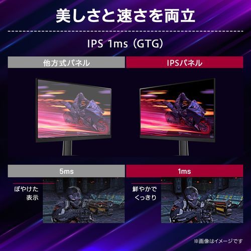 LGエレクトロニクス LG 24GS65F-B...の紹介画像2