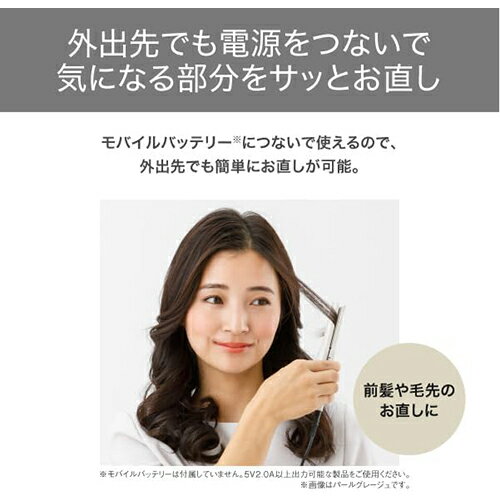 テスコム TESCOM TS310A-C パールグレージュ USB モバイル ヘアアイロン TS310AC