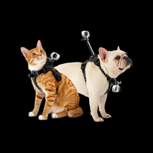 Insta360 Insta360 �ڥå��ѥϡ��ͥ��ޥ���� S������ CINSBAVXGO3S ���������� CINSBAVXGO3S