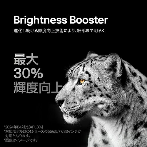 【設置＋リサイクル＋長期保証】LGエレクトロニクス(LG) OLED55C4PJA 4K 55V型 有機ELテレビ