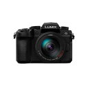 パナソニック(Panasonic) LUMIX DC-G99M2H 高倍率ズームレンズキット マイクロフォーサーズ デジタル一眼カメラ