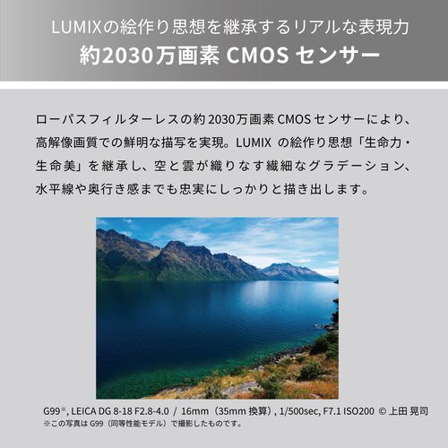 ��Ĺ��5ǯ�ݾ��աۥѥʥ��˥å� Panasonic LUMIX DC-G99M2H ����Ψ�������󥺥��å� �ޥ������ե��������� �ǥ������㥫��� DCG99M2H