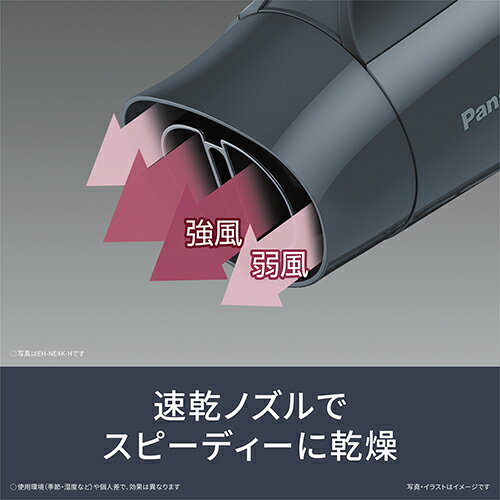 �ѥʥ��˥å�(Panasonic) EH-NE4K-H ���������졼 �إ����ɥ饤�䡼 �����˥ƥ� ������/®����ǥ�