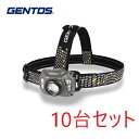 ジェントス(GENTOS) AR-F343HD AXRAY フォグLEDヘッドライト 10台セット